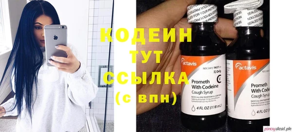 ГАЛЛЮЦИНОГЕННЫЕ ГРИБЫ Богородицк