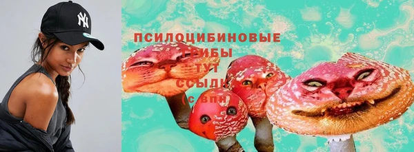 ГАЛЛЮЦИНОГЕННЫЕ ГРИБЫ Богородицк