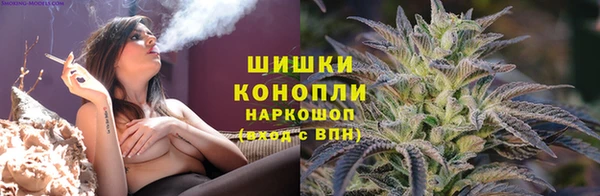 ГАЛЛЮЦИНОГЕННЫЕ ГРИБЫ Богородицк